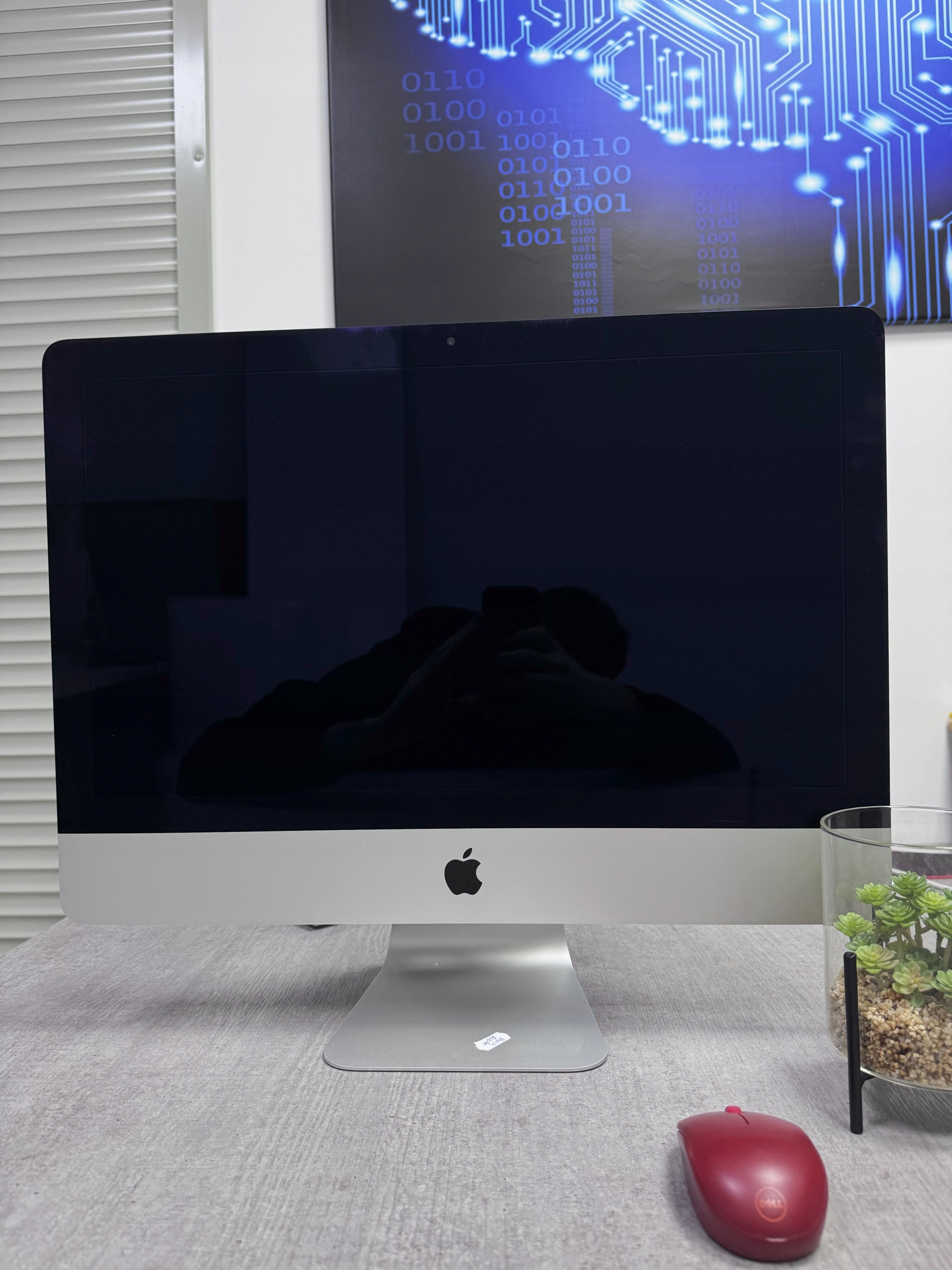 Komputer Apple iMac 21,5" Slim i5 4x 2,7GHz 8GB 256GB SSD - Stan.BDB - obrazek 3