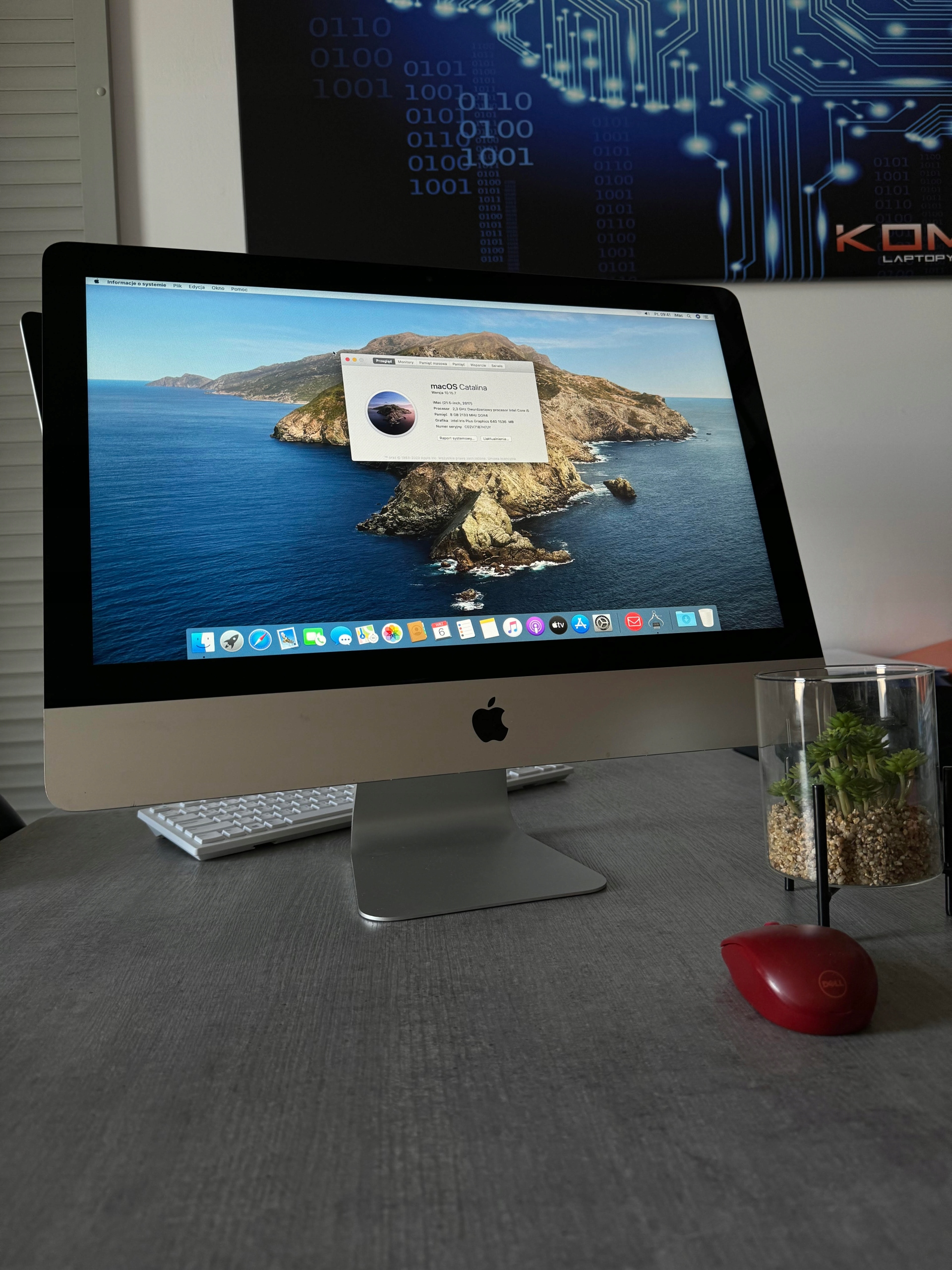 Apple iMac 21,5" i5-7360U 16GB 1TB SSD - 2017 + Klawiatura i Myszka Apple! - obrazek 2